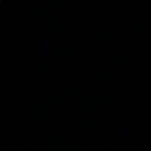 Meet your Posher, Evie